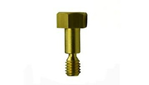 Brass Screw 4-00324